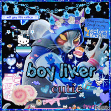 a picture of a cat with the words boy liker cutie