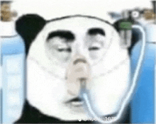 a panda bear wearing an oxygen mask on its face .