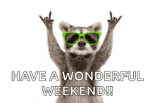 a raccoon wearing green sunglasses says have a wonderful weekend !