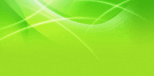 a bright green background with a few white lines