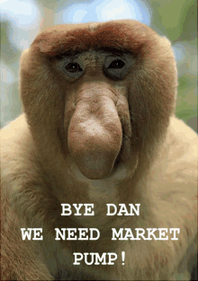 a picture of a monkey with the words bye dan we need market pump below it