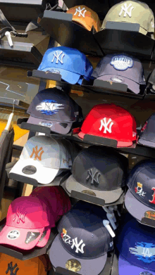 a bunch of new york yankees hats are displayed on a shelf