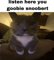 a picture of a cat with the words listen here you goobie snoopert