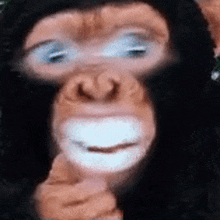 a stuffed chimpanzee is giving a thumbs up sign .