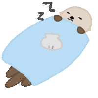 an otter is sleeping on a blue blanket