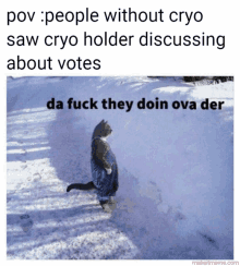 a picture of a cat walking in the snow with the caption " people without cryo saw cryo holder discussing about votes