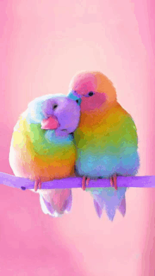 a couple of colorful birds sitting on a branch against a pink background