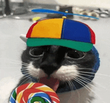 a cat wearing a colorful hat is licking a lollipop .