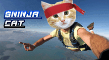 a man is flying through the air with a cat 's head and the words sninja cat behind him