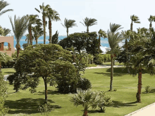 a lush green park with palm trees and a building in the distance