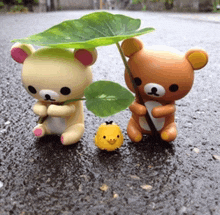 two teddy bears holding leaves and a yellow chick