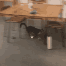 a cat is playing with a toy on a table