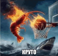 a shrimp is jumping into a basketball hoop while a shark watches .