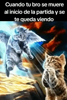 a painting of two cats with wings and a caption that says cuando tu bro se muere