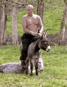 a man is riding a donkey in a field .