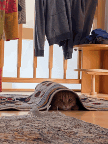 a cat is hiding under a rug with clothes hanging on the railing in the background