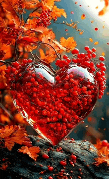 a heart shaped vase filled with red berries