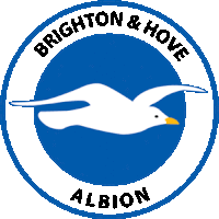 the logo for brighton & hove albion shows a seagull