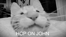 a black and white photo of a cat that says hop on john