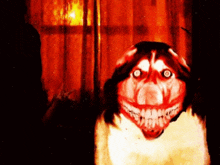 a scary dog with a big smile on its face is standing in front of a window .