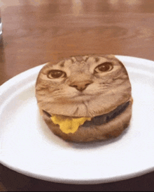 a hamburger with a cat face on it is on a white plate