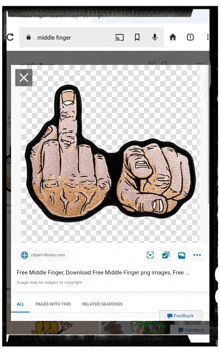 a picture of a middle finger is displayed on a web page