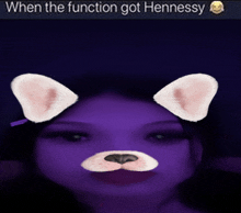 a picture of a girl with a cat face and a caption that says when the function got hennessy