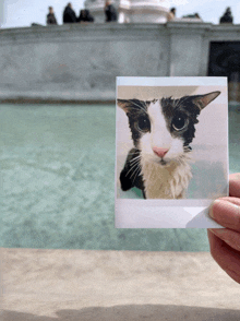 a person holding a picture of a black and white cat in front of a fountain