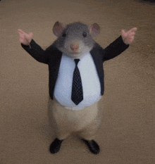 a rat wearing a suit and tie is standing with its arms outstretched