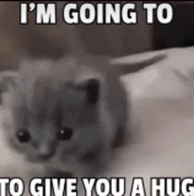 a kitten is laying on a bed with a caption that says i 'm going to give you a hug