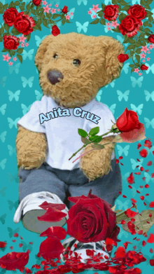 a teddy bear wearing a shirt that says anita cruz