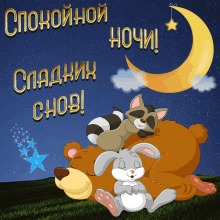 a cartoon illustration of a raccoon sleeping on a bear with the words " спокойной ночи " above it