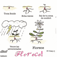 a drawing of a flower growing out of the ground with the words florece written below it