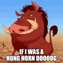 a cartoon of a warthog with big horns and the words `` if i was a hung horn doooog ''