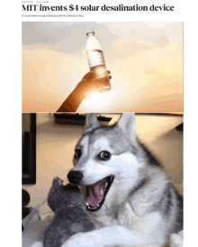 a picture of a person holding a water bottle next to a picture of a husky