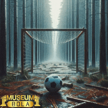 a soccer ball is in front of a goal with the words museum bola