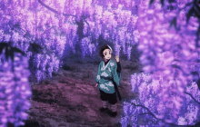 a boy in a blue kimono is standing in a forest of purple flowers