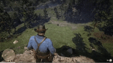 a man in a cowboy hat is standing on top of a grassy hill in a video game