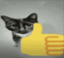 a cat is giving a thumbs up sign in front of it 's face .