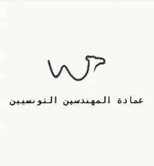 a logo for a company called wp in arabic