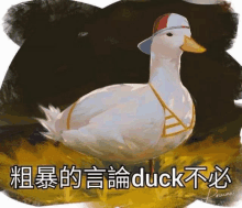 a painting of a duck wearing a baseball cap and bra