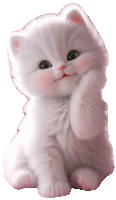 a white kitten with a pink nose is sitting on a white surface