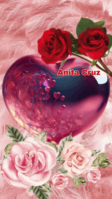 a picture of roses and a heart with the name anita cruz on it