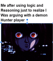 a meme about using logic and reasoning just to realize i was arguing with a demon hunter player ..