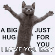 a cat is standing up with its arms outstretched and says `` a big hug just for you , i love you izzy ''