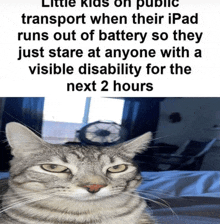 a picture of a cat with a caption that says little kids on public transport