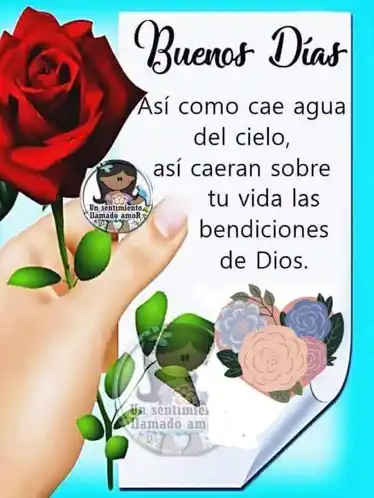 a hand holding a red rose next to a piece of paper that says buenos dias