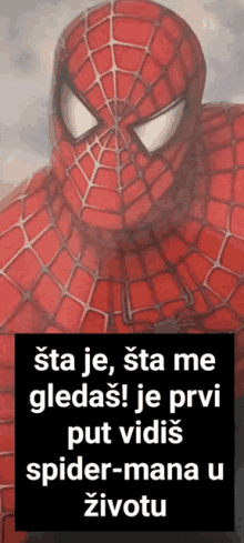 a picture of a spider-man with a foreign language caption