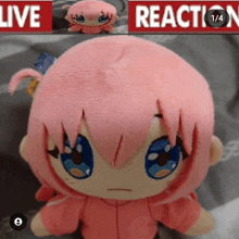 a pink stuffed doll with blue eyes sits in front of a sign that says live reaction