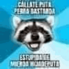 Callate Puta Perra Bstarda Meme